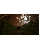 Zardy's Cave АВТОДОСТАВКА STEAM РОССИЯ