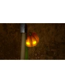 Zardy's Cave АВТОДОСТАВКА STEAM РОССИЯ