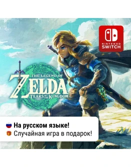 The Legend of Zelda: Tears of the Kingdom Switch