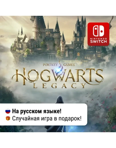 Hogwarts Legacy Nintendo Switch
