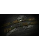 Hunt: Showdown 1896 - Taker of Trophies STEAM РОССИЯ