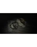 Hunt: Showdown 1896 - Taker of Trophies DLC