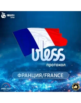 VPN VLESS Франция СкоростьРаботает в РФ