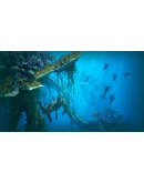 Towers of Aghasba * STEAM RU*KZ*UA*СНГАВТОДОСТАВКА