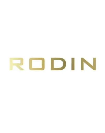 rodin ai подписка на аккаунт создателя 1 месяц