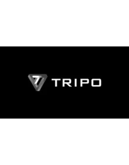 Подписка на аккаунт Tripo ai pro на 1 месяц