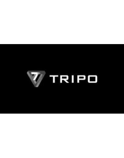 Подписка на аккаунт Tripo ai pro на 1 месяц