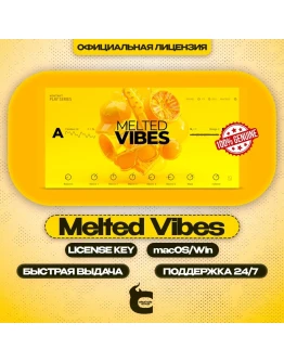 Native Instruments Melted Vibes 1OO лицензия