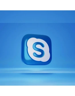 Skype Accounts, USA, с аватаркой и почтой в комплекте