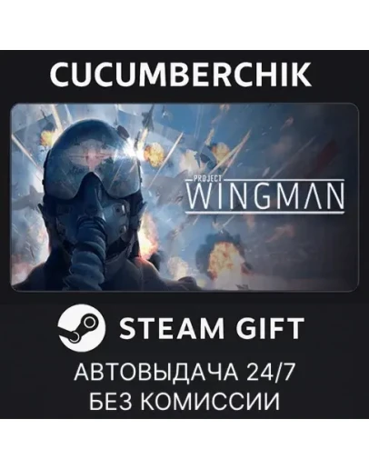 Project WingmanSTEAM GIFT AUTORU+МИР