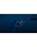 Beyond Blue Xbox One &amp Xbox Series XS активация