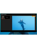 Beyond Blue Xbox One &amp Xbox Series XS активация