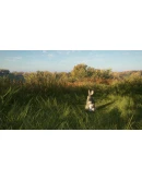 theHunter: Call of the Wild - Salzwiesen Park DLC