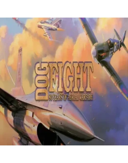 Dogfight: 80 Years of Aerial Warfare GOG (PC)
