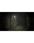 Unknown Tapes АВТОДОСТАВКА STEAM РОССИЯ