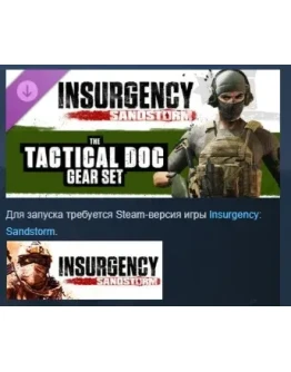 Insurgency: Sandstorm - Tactical Doc Gear Set STEAM РФ Insurgency: Sandstorm - Tactical Doc Gear Set STEAM РФ