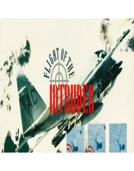 Flight of the Intruder GOG (PC)