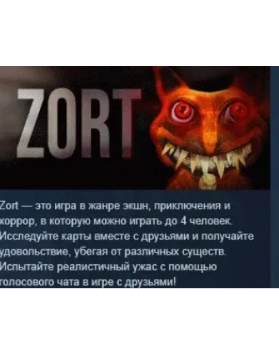 ZORT АВТОДОСТАВКА STEAM РОССИЯ