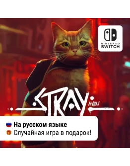 Stray Nintendo Switch