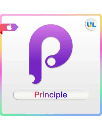 Principle 6 ключPrinciple MAC OSPrinciple for mac