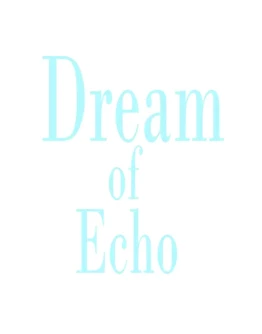 Dream of Echo EPIC GAMES (PC)