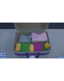 Airport X-Ray Simulator АВТОДОСТАВКА STEAM РОССИЯ