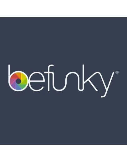 BEFUNKY PLUS ПОДПИСКА 1-12М НА ВАШ АККАУНТ