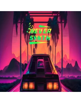 Never Synth EPIC GAMES (PC)