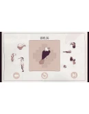 Birds Organized Neatly АВТОДОСТАВКА STEAM РОССИЯ