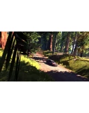 V-Rally 4 Xbox One &amp Xbox Series XS активация