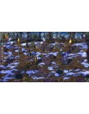 Songs of Conquest - VanirSTEAM GIFT AUTORU+МИР