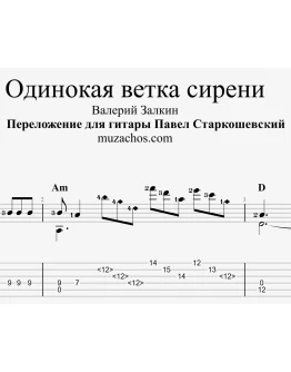 Одинокая ветка сирени (В. Залкин). Табы и ноты