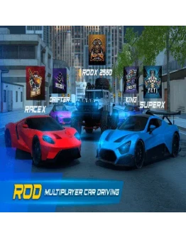 ROD Multiplayer Car Driving EPIC GAMES (PC)