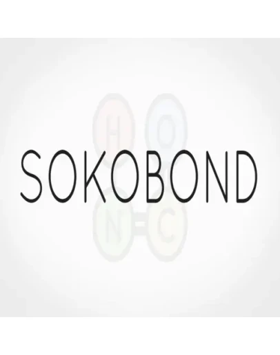 Sokobond EPIC GAMES (PC)