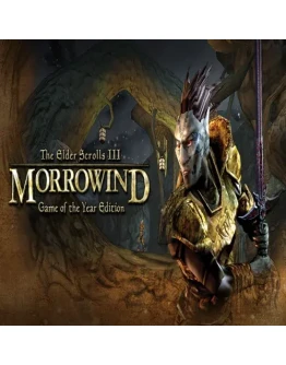 The Elder Scrolls III: Morrowind Game of the Year E