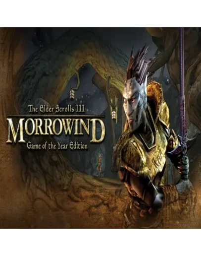 The Elder Scrolls III: Morrowind Game of the Year E