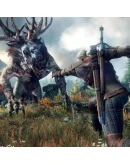 THE WITCHER 3 WILD HUNT EXPANSION PASS XBOXКЛЮЧ