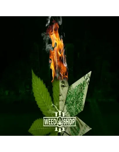 Weed Shop 3 EPIC GAMES (PC)