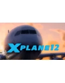 X-Plane 12 Steam Россия