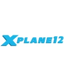 X-Plane 12 Steam Россия