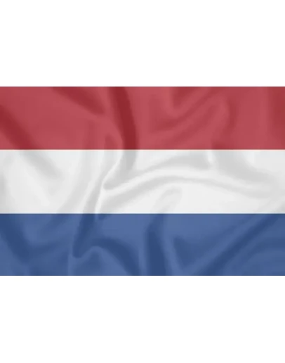 HiddifyNekorayЛичный VPN/ProxyНидерланды10 ГБ/с