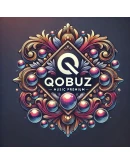 Qobuz Studio Счет 1/2 месяца гарантия