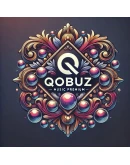 Подписка на Qobuz Studio аккаунт на 12 месяца
