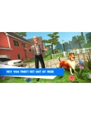 Bad Granny Little Thief АВТОДОСТАВКА STEAM РОССИЯ