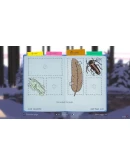 RkiSTEAM GIFT AUTORU+МИР