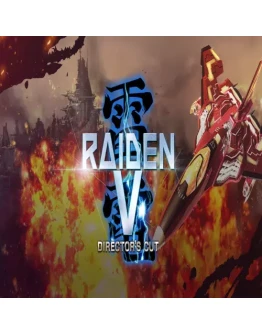 Raiden V: Directors Cut GOG (PC)