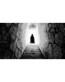 Misericorde Volume Two White Wool &amp Snow STEAM РОССИЯ