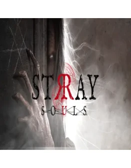 Stray Souls GOG (PC)