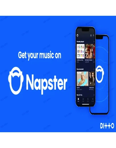 Napster Premium Аккаунт1 месяцгарантия