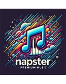 Napster Premium Аккаунт1 месяцготовый